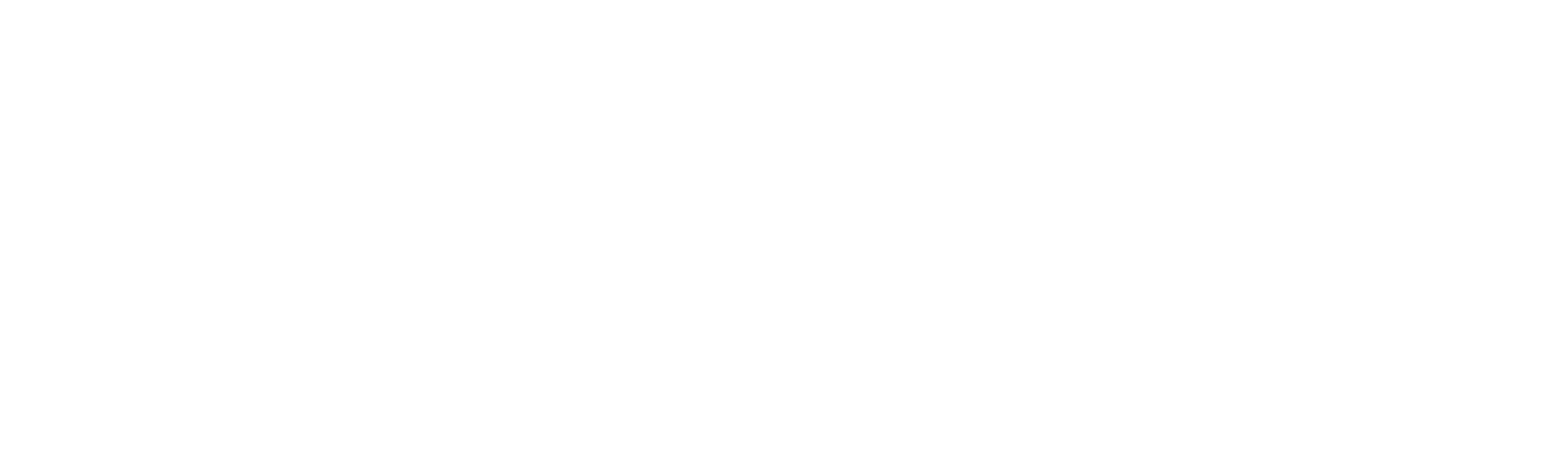IDP Logo