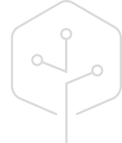 IDP - Red de conexiones